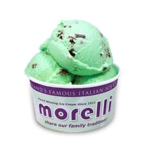 Mint & Belgian Chocolate Chip